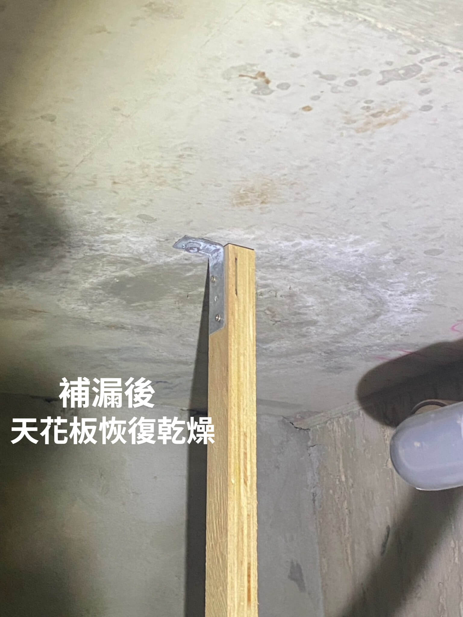 補漏後天花板恢復乾燥 成功案例